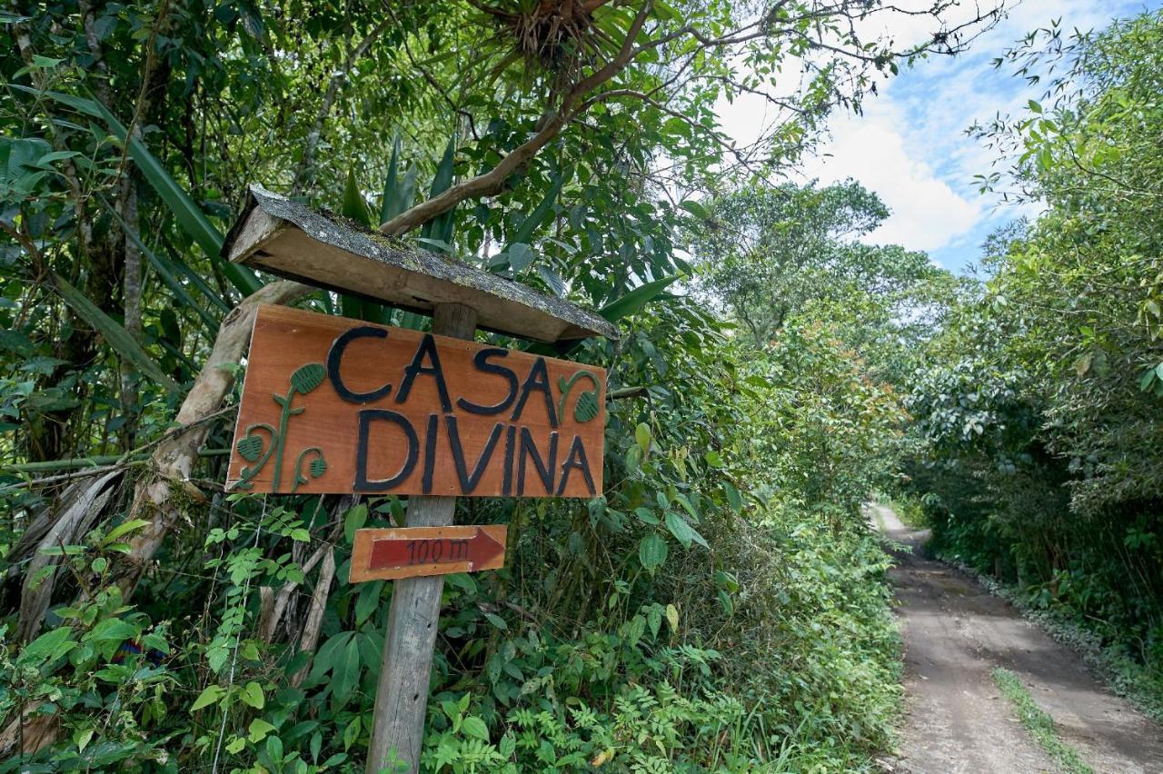 Casa Divina Eco Lodge Mindo Esterno foto